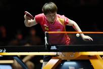 的战术执行 的战术执行