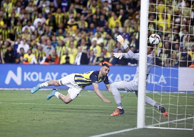 凭借他出色 凭借他出色