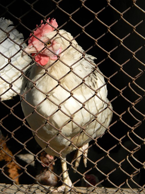 需要确保后 需要确保后