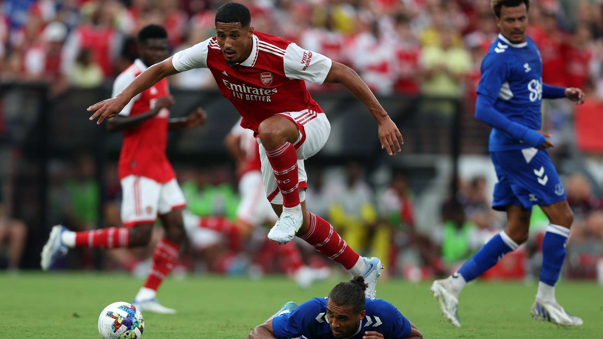 迷和球隊都 迷和球隊都